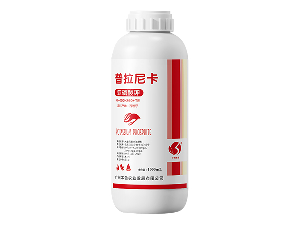 普拉尼卡亚磷酸钾