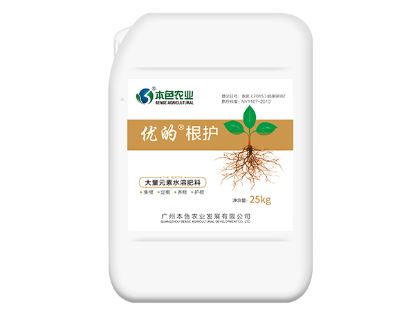根护