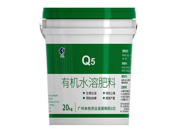 Q5