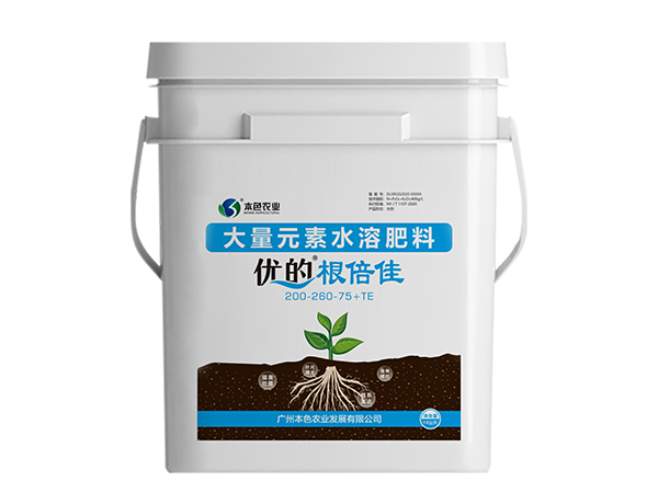 根倍佳